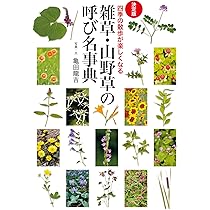 四季の散歩が楽しくなる ［決定版］雑草・山野草の呼び名事典 | 亀田